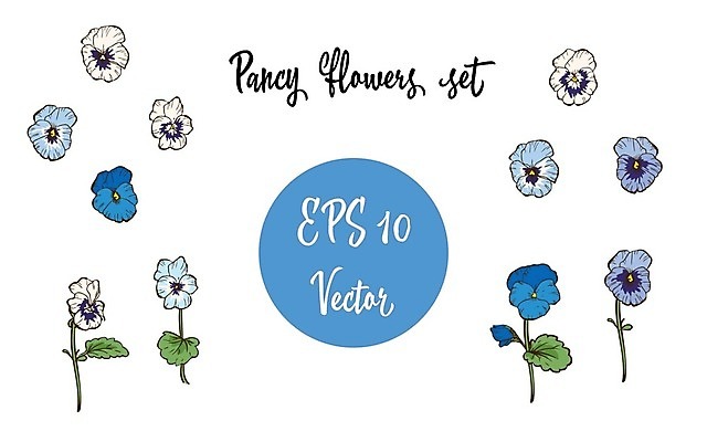 EPS 해외이미지 식물 디자인 꽃잎 꽃 행복 줄기 결혼 잎 꽃무늬 일러스트 수채화 장식 여름 파란색 빛 세트 컬러풀 파티 정원 보라색 봄 수확 벚꽃 축하 인사 발표 생일 우아함 수집 제비꽃 복고 초대 한조각 고립 비올라 스크랩북 엘리먼트 해외202004 해외일러스트 1 계절 기념일 감정 컬러 컨셉 무늬 농업 이벤트 예절 파일형식 벡터 찰현악기 산업 현울림악기 현악기 악기 음악 문화예술 이미지허브