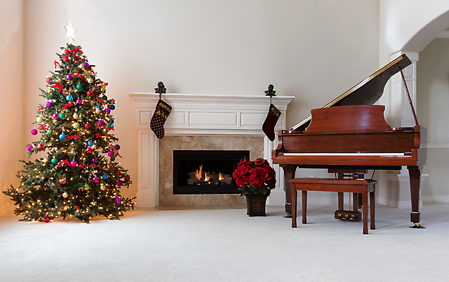 포토 JPG 해외이미지 나무 전통 꽃 크리스마스 거실 휴가 휴식 양말 주택 실내 따뜻함 사람없음 내부 장식 빨간색 초록색 빛 축제 카펫 기쁨 방 흰색 뜨거움 12월 벽난로 카피스페이스 안락 해외202004 해외포토 식물 기념일 감정 컬러 컨셉 건물 공백 날짜 파일형식 이미지허브