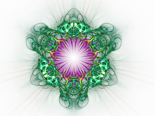 포토 JPG 해외이미지 식물 디자인 계절 꽃잎 꽃 분홍색 꽃다발 백그라운드 잎 꽃무늬 패턴 일러스트 자연 추상 수채화 미술 경사 사람없음 그래픽 장식 빛 컬러풀 장미 보라색 검은색 페인트 봄 벚꽃 소용돌이 원형 화려 꽃집 그림 질감 광 방사형 블러 해외202004 해외포토 도형 컬러 컨셉 무늬 문화예술 상점 회오리 생태계 파일형식 이미지허브