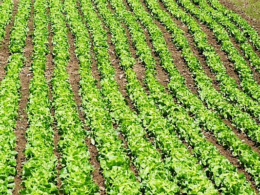 포토 JPG 해외이미지 사람없음 해외202004 해외포토 파일형식 이미지허브