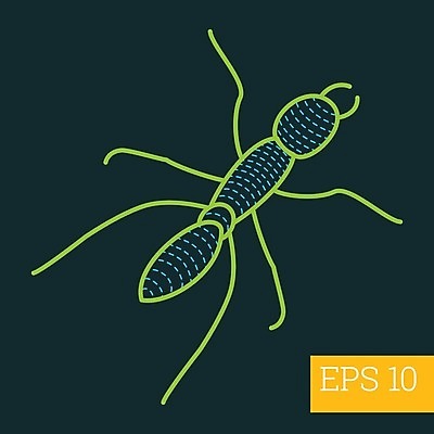 EPS 해외이미지 디자인 선 곤충 절지류 일러스트 가정 안테나 그래픽 픽토그램 주름 플랫 벌레 딱정벌레 심볼 오브젝트 사인 그림 심플 윤곽 개미 고립 얇은 엘리먼트 해외202004 해외일러스트 동물 통신 파일형식 벡터 이미지허브