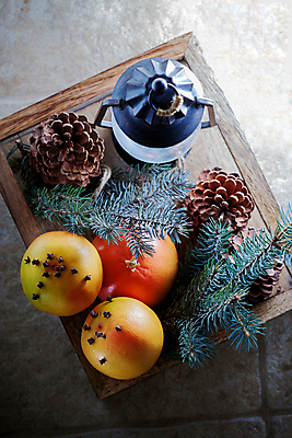 포토 JPG 해외이미지 나무 디자인 계절 크리스마스장식 크리스마스 겨울 패턴 오렌지 공 휴가 새해 바닥 사람없음 장식 흰색 시골 축하 연도 가득함 활 전나무 구식 삼림지대 해외202004 해외포토 식물 기념일 컬러 컨셉 무늬 과일 숲 파일형식 이미지허브