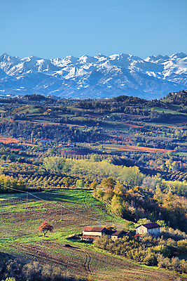 포토 JPG 해외이미지 나무 계절 유럽 여행 단풍 밭 자연 휴가 산 주택 안테나 풍경 사람없음 야외 세로 컬러풀 여행객 마을 이탈리아 가을 시골 언덕 알프스 산기슭 내추럴 인기 절정 눈내림 해외202004 해외포토 식물 나라 컬러 잎 농업 통신 눈_날씨 사람 건물 생태계 파일형식 이미지허브