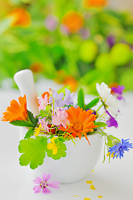 포토 JPG 해외이미지 식물 전통 파슬리 사람없음 치료 약 약초 작음 민트 허브 금잔화 막자 방법 추출 해외202004 해외포토 꽃 채소 의학 풀_식물 크기 파일형식 이미지허브