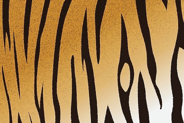 EPS 해외이미지 동물 디자인 야생동물 백그라운드 패턴 오렌지 일러스트 포유류 자연 벽지 추상 털 미술 장식 검은색 고양이 줄무늬 호랑이 인쇄 가죽 피부 질감 얼룩말 스타일 해외202004 해외일러스트 컬러 무늬 과일 문화예술 신체부위 반려동물 말_동물 생태계 파일형식 벡터 이미지허브