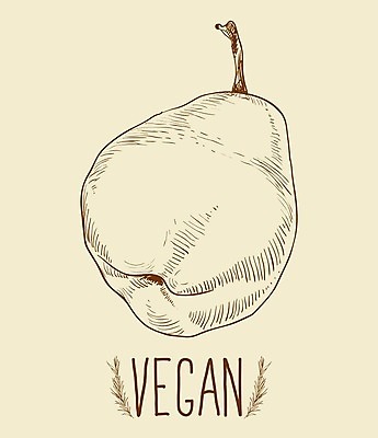 EPS 해외이미지 나무 식물 음식 백그라운드 잎 꽃무늬 과일 일러스트 재료 자연 디저트 건강 요리 미술 초록색 정원 봄 수확 골동품 벚꽃 흰색 과수원 그림 원예 복고 판화 내추럴 고립 백과사전 옛날 채식주의자 해외202004 해외일러스트 계절 꽃 컬러 무늬 농업 문화예술 취미 생태계 채식 사전 파일형식 벡터 이미지허브