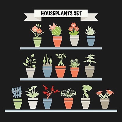 EPS 해외이미지 식물 손 디자인 꽃 실루엣 화초 백그라운드 잎 꽃무늬 패턴 일러스트 자연 선인장 주택 미술 사람없음 장식 여름 정원 봄 벚꽃 플랫 냄비 만화 원예 내추럴 고립 심기 해외202004 해외일러스트 계절 무늬 모션 문화예술 촬영기법 취미 건물 신체부위 솥 생태계 파일형식 벡터 이미지허브