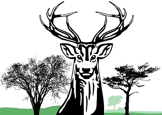 EPS 해외이미지 나무 공원 실루엣 야생동물 백그라운드 단풍 일러스트 자연 산 뿔 여름 가을 흰색 시골 황무지 숲 사냥 윤곽 순록 아기사슴 암사슴 해외202004 해외일러스트 식물 동물 계절 공공시설 새끼 컬러 잎 사슴 촬영기법 암컷 생태계 파일형식 벡터 포유류 시설 이미지허브