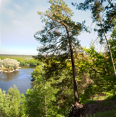 포토 JPG 해외이미지 나무 파노라마 사람없음 목재 물 파란색 강 나뭇가지 숲 우크라이나 해외202004 해외포토 자연요소 식물 유럽 컬러 재료 촬영기법 파일형식 이미지허브