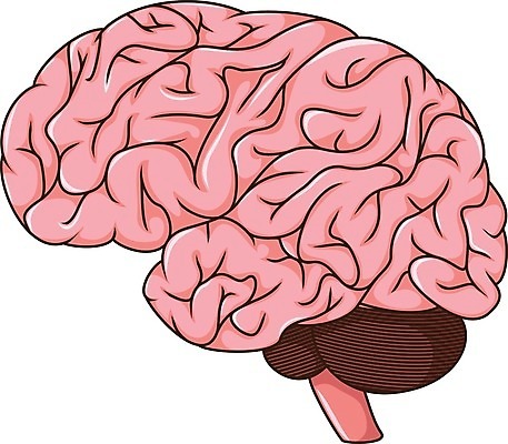 EPS 해외이미지 디자인 선 일러스트 해부 아이디어 건강 미술 사람 내부 머리 마음 오르간 정상 집중 명상 뇌 그림 클립 두통 윤곽 엘리먼트 위기 지능 해외202004 해외일러스트 컨셉 의학 문화예술 신체부위 건반악기 질병 파일형식 벡터 이미지허브
