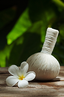 포토 JPG 해외이미지 신체 가방 태국 자연 휴식 건강 사람없음 치료 초록색 상점 스파 침묵 목욕 활발 신선 마사지 허브 피부관리 성분 아로마테라피 테라피 내추럴 돌봄 치료사 해외202004 해외포토 식물 직업 잡화 아시아 컬러 컨셉 의학 모션 뷰티 소리 청결 생태계 파일형식 이미지허브