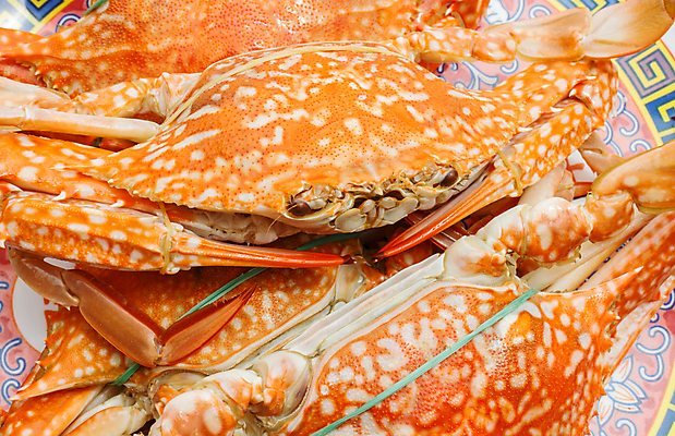 포토 JPG 해외이미지 음식 백그라운드 자연 낚시 조개 건강 갑각류 어류 요리 사람없음 빨간색 물 파란색 식당 축제 식사 저녁식사 초밥 게 껍질 흰색 만 뜨거움 고명 레몬 해산물 그림 잔치 낚시꾼 점심식사 고립 삶기 집게발 해외202004 해외포토 자연요소 동물 컬러 과일 레저 어패류 상점 수중동물 생태계 일본음식 파일형식 이미지허브