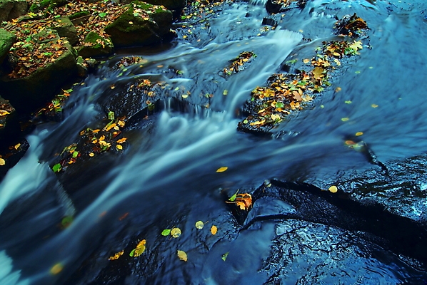 포토 JPG 해외이미지 식물 계절 공원 여행 백그라운드 잎 모션 자연 기술 풍경 사람없음 야외 초록색 물 빛 강 침묵 흐름 가을 액체 개울 황무지 속도 장면 광 부족함 해외202004 해외포토 자연요소 공공시설 컬러 컨셉 소리 생태계 파일형식 이미지허브