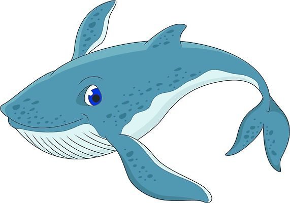 EPS 해외이미지 한마리 일러스트 사람없음 고래 해외202004 해외일러스트 1 포유류 수중동물 파일형식 벡터 이미지허브