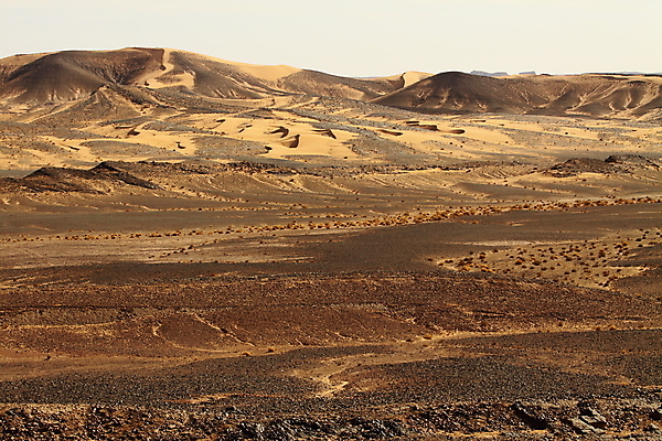 포토 JPG 해외이미지 모래 여행 패턴 오렌지 교통시설 아프리카 자연 하늘 휴가 건조 이집트 풍경 사람없음 야외 빨간색 여름 모래사장 태양 노란색 맑음 사막 뜨거움 거친 황무지 고독 모래언덕 사파리 언덕 낙타 가뭄 모로코 사하라 아랍어 해외202004 해외포토 자연요소 계절 감정 나라 바다 컬러 교통 무늬 과일 포유류 날씨 시설 생태계 파일형식 이미지허브