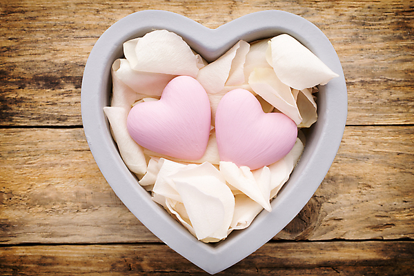 포토 JPG 해외이미지 디자인 사랑 사람없음 장미 하트 나무배경 해외202004 해외포토 모양 꽃 감정 백그라운드 파일형식 이미지허브