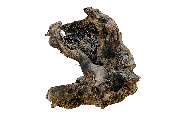 포토 JPG 해외이미지 나무 식물 디자인 줄기 백그라운드 부분 자연 건조 사람없음 갈색 흰색 나뭇가지 죽음 거친 숲 오브젝트 싱글 질감 통나무 가뭄 고립 옛날 해외202004 해외포토 컬러 날씨 생태계 파일형식 이미지허브