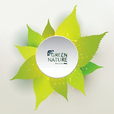 EPS 해외이미지 모양 디자인 백그라운드 컨셉 일러스트 추상 사람없음 그래픽 초록색 라벨 흰색 원형 나뭇잎모양 해외202004 해외일러스트 도형 컬러 무늬 나뭇잎 프레임 파일형식 벡터 이미지허브