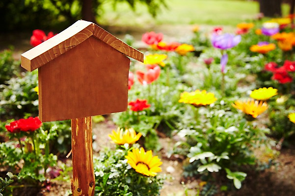 포토 JPG 주간 나무 식물 계절 꽃 컬러 백그라운드 꽃밭 꽃백그라운드 봄꽃 자연 국화 알림판 풍경 근접촬영 사람없음 야외 아웃포커스 봄 팻말 표지판 국내포토 자연요소 뷰포인트 프레임 촬영기법 생태계 파일형식