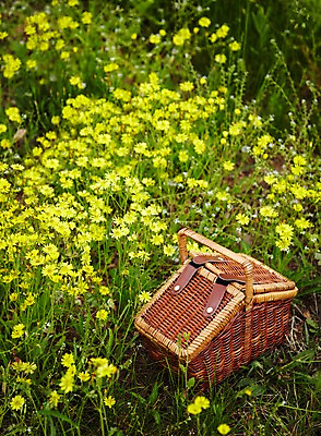 포토 JPG 주간 식물 계절 꽃 컬러 백그라운드 꽃밭 가방 꽃백그라운드 봄꽃 자연 풍경 근접촬영 사람없음 야외 아웃포커스 소풍 노란색 바구니 봄 풀 유채 국내포토 자연요소 잡화 뷰포인트 촬영기법 야외활동 생태계 파일형식