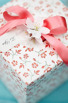 포토 JPG 주간 식물 계절 꽃 리본 컬러 백그라운드 꽃백그라운드 봄꽃 자연 선물 풍경 근접촬영 사람없음 야외 아웃포커스 선물상자 상자 봄 벚꽃 흰색 국내포토 자연요소 뷰포인트 촬영기법 생태계 파일형식