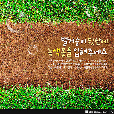 PSD 식물 템플릿 기념일 웹템플릿 백그라운드 팝업 이벤트팝업 웹팝업 이벤트 잔디 사람없음 공휴일 흙 물방울 풀 식목일 나무심기 이미지템플릿 심기 파일형식