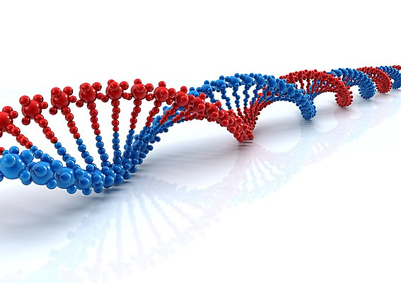 PSD 컬러 백그라운드 의학 세포 나선형 사람없음 그래픽 치료 빨간색 파란색 3D소스 3D 과학기술 DNA 생명공학 입체 원자 염색체 무늬 기술 디지털합성 파일형식