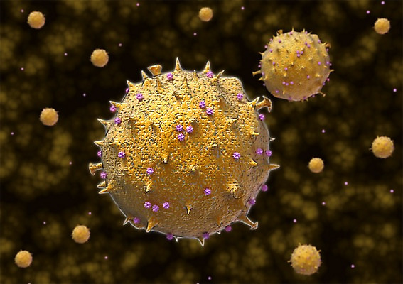 PSD 컬러 백그라운드 신체 의학 생명 세포 현미경 사람없음 라이프 그래픽 치료 노란색 3D소스 3D 조직 생명공학 입체 박테리아 실험기구 생활 디지털합성 파일형식