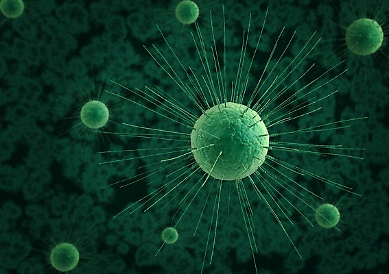 PSD 컬러 백그라운드 신체 의학 생명 세포 현미경 사람없음 라이프 그래픽 치료 초록색 3D소스 3D 조직 생명공학 입체 실험기구 생활 디지털합성 파일형식