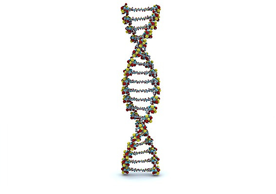 PSD 백그라운드 의학 세포 나선형 사람없음 그래픽 치료 3D소스 3D 과학기술 DNA 생명공학 입체 원자 염색체 무늬 기술 디지털합성 파일형식