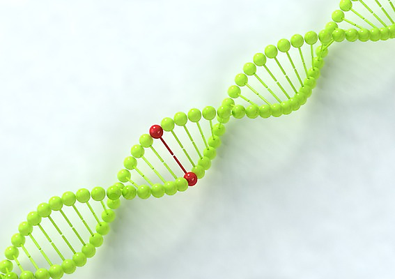 PSD 컬러 백그라운드 의학 세포 나선형 사람없음 그래픽 치료 빨간색 초록색 3D소스 3D 과학기술 DNA 생명공학 입체 원자 염색체 무늬 기술 디지털합성 파일형식