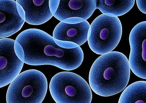 PSD 컬러 백그라운드 신체 의학 생명 세포 현미경 사람없음 라이프 그래픽 치료 파란색 3D소스 3D 원형 조직 생명공학 입체 핵 도형 실험기구 생활 디지털합성 파일형식