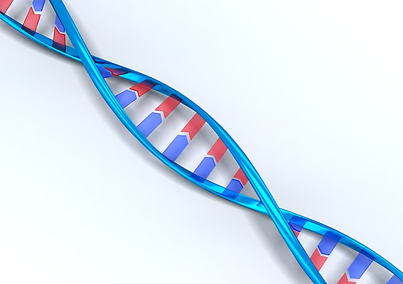 PSD 컬러 백그라운드 의학 세포 나선형 사람없음 그래픽 치료 빨간색 파란색 3D소스 3D 과학기술 DNA 생명공학 입체 원자 염색체 무늬 기술 디지털합성 파일형식