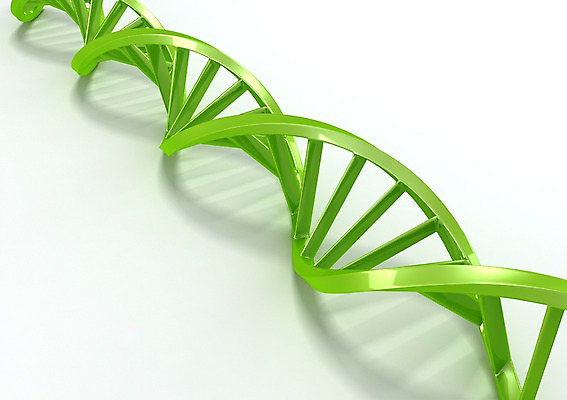 PSD 컬러 백그라운드 의학 세포 나선형 사람없음 그래픽 치료 초록색 3D소스 3D 과학기술 DNA 생명공학 입체 원자 염색체 무늬 기술 디지털합성 파일형식