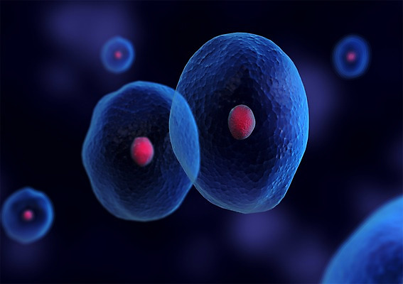 PSD 컬러 백그라운드 신체 의학 생명 세포 현미경 사람없음 라이프 그래픽 치료 파란색 3D소스 3D 원형 조직 생명공학 입체 핵 분열 세포분열 도형 실험기구 생활 디지털합성 파일형식