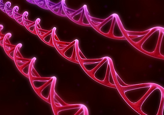 PSD 컬러 백그라운드 의학 세포 나선형 사람없음 그래픽 치료 빨간색 3D소스 3D 과학기술 DNA 생명공학 입체 원자 염색체 무늬 기술 디지털합성 파일형식