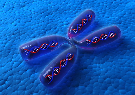 PSD 컬러 백그라운드 신체 의학 생명 세포 나선형 현미경 사람없음 라이프 그래픽 치료 파란색 3D소스 3D 조직 DNA 생명공학 X 입체 염색체 알파벳 무늬 실험기구 생활 디지털합성 파일형식