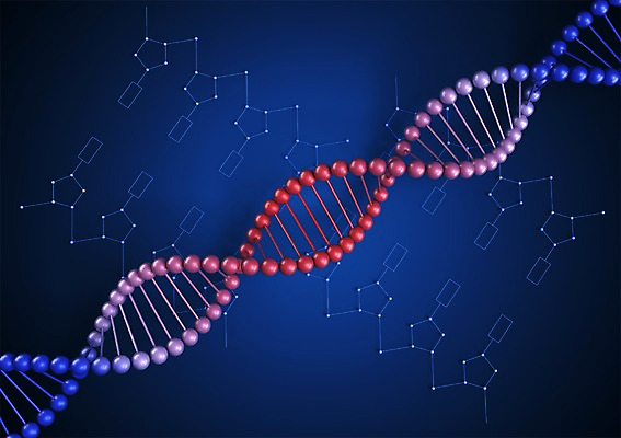 PSD 백그라운드 의학 세포 나선형 사람없음 그래픽 치료 3D소스 3D 과학기술 DNA 생명공학 입체 원자 염색체 무늬 기술 디지털합성 파일형식