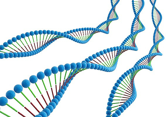 PSD 백그라운드 의학 세포 나선형 사람없음 그래픽 치료 3D소스 3D 과학기술 DNA 생명공학 입체 원자 염색체 무늬 기술 디지털합성 파일형식