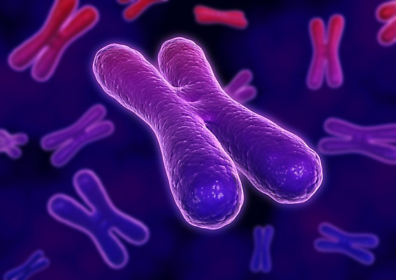 PSD 컬러 백그라운드 신체 의학 생명 세포 현미경 사람없음 라이프 그래픽 치료 3D소스 3D 보라색 조직 DNA 생명공학 X 입체 염색체 알파벳 실험기구 생활 디지털합성 파일형식
