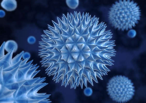 PSD 컬러 백그라운드 신체 의학 생명 세포 현미경 사람없음 라이프 그래픽 치료 파란색 3D소스 3D 조직 생명공학 입체 실험기구 생활 디지털합성 파일형식