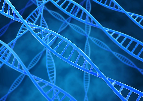 PSD 컬러 백그라운드 의학 세포 나선형 사람없음 그래픽 치료 파란색 3D소스 3D 과학기술 DNA 생명공학 입체 원자 염색체 무늬 기술 디지털합성 파일형식