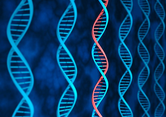 PSD 컬러 백그라운드 의학 세포 나선형 사람없음 그래픽 치료 빨간색 파란색 3D소스 3D 과학기술 DNA 생명공학 입체 원자 염색체 무늬 기술 디지털합성 파일형식
