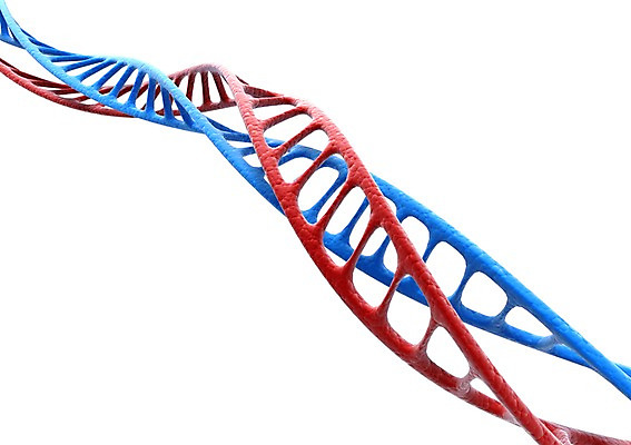 PSD 컬러 백그라운드 의학 세포 나선형 사람없음 그래픽 치료 빨간색 파란색 3D소스 3D 과학기술 DNA 생명공학 입체 원자 염색체 무늬 기술 디지털합성 파일형식