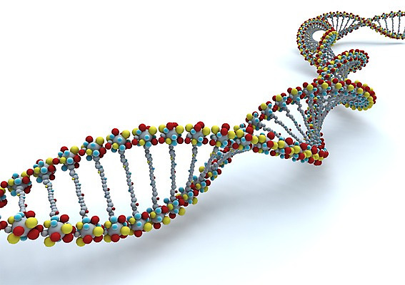 PSD 백그라운드 의학 세포 나선형 사람없음 그래픽 치료 3D소스 3D 과학기술 DNA 생명공학 입체 원자 염색체 무늬 기술 디지털합성 파일형식