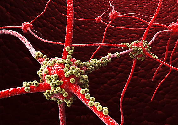 PSD 컬러 백그라운드 신체 의학 생명 세포 현미경 사람없음 라이프 그래픽 치료 빨간색 3D소스 3D 조직 생명공학 입체 실험기구 생활 디지털합성 파일형식