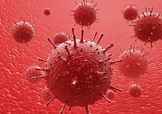 PSD 컬러 백그라운드 신체 의학 생명 세포 현미경 사람없음 라이프 그래픽 치료 빨간색 3D소스 3D 조직 생명공학 입체 실험기구 생활 디지털합성 파일형식