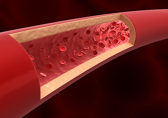 PSD 컬러 백그라운드 신체 의학 생명 세포 현미경 사람없음 라이프 그래픽 치료 빨간색 3D소스 3D 조직 혈액 생명공학 입체 혈관 혈소판 실험기구 생활 장기_의학 디지털합성 파일형식