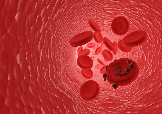 PSD 컬러 백그라운드 신체 의학 생명 세포 현미경 사람없음 라이프 그래픽 치료 빨간색 3D소스 3D 조직 혈액 생명공학 입체 박테리아 혈소판 실험기구 생활 디지털합성 파일형식