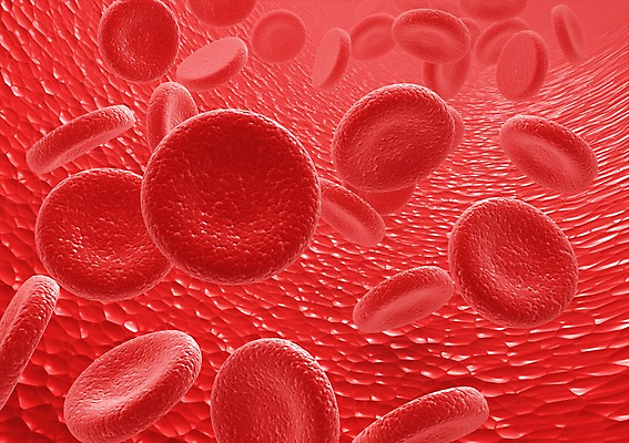 PSD 컬러 백그라운드 신체 의학 생명 세포 현미경 사람없음 라이프 그래픽 치료 빨간색 3D소스 3D 조직 혈액 생명공학 입체 혈소판 실험기구 생활 디지털합성 파일형식
